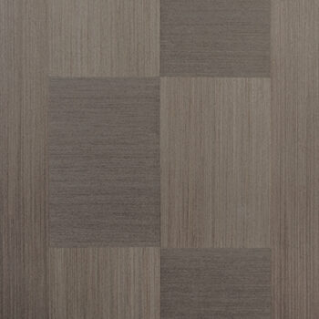 Chocolate-Grey-Apollo